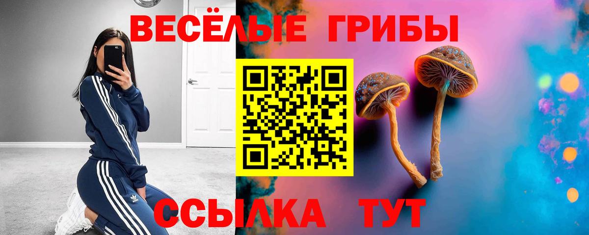 Галлюциногенные грибы Psilocybe Зеленокумск